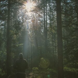 Inscription conférence immersive 5€ puis paiement libre conscience après la conférence