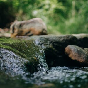 Inscription - Gestion naturelle d'un projet - prix libre
