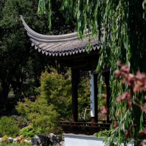 Participation - Pensée chinoise en entreprise