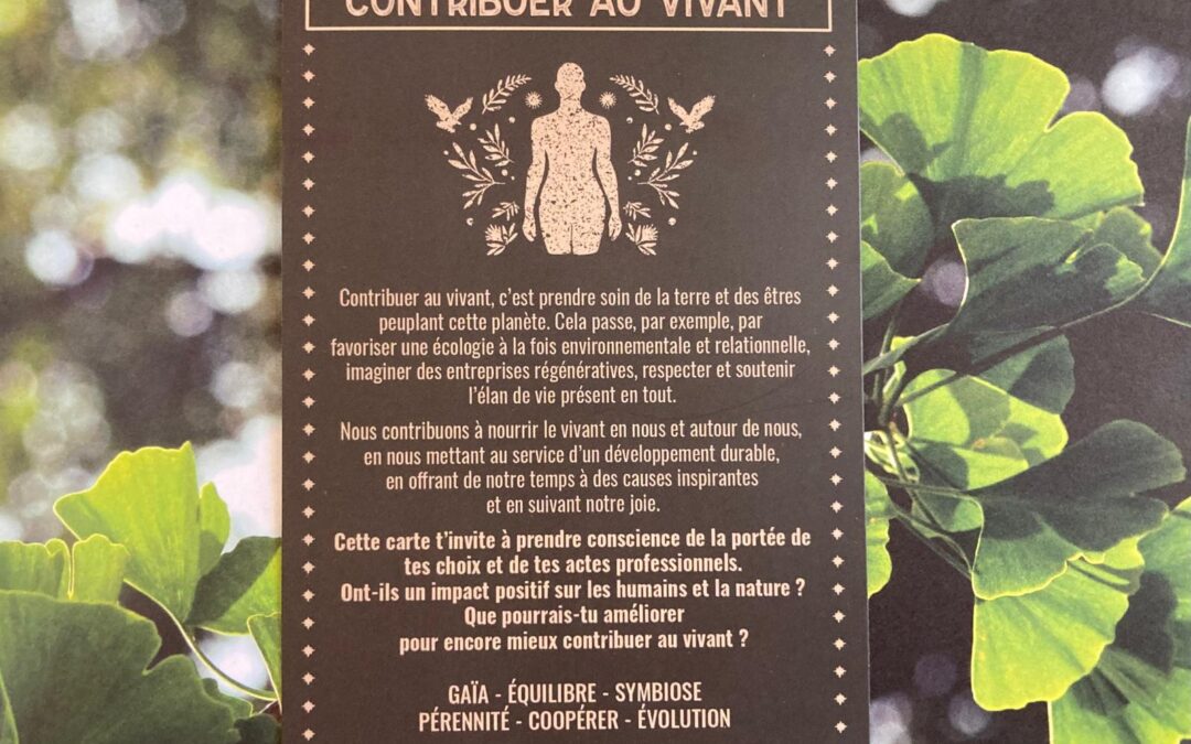 Engager ses équipes sur l&rsquo;écologie : le team building comme levier RSE