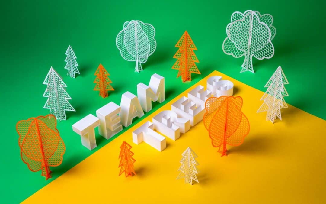 Engaging Your Teams on Ecology: Team Building as a CSR Lever