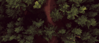 Inspirations rapides